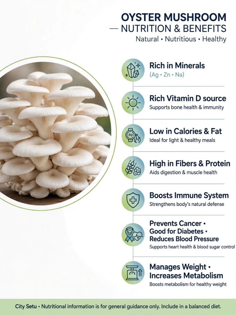 Oyster Mushroom Nutrition and Benefits infographic